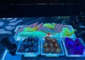 网络咨询主管招聘文案（招募网络咨询主管：加入我们，共创未来！）